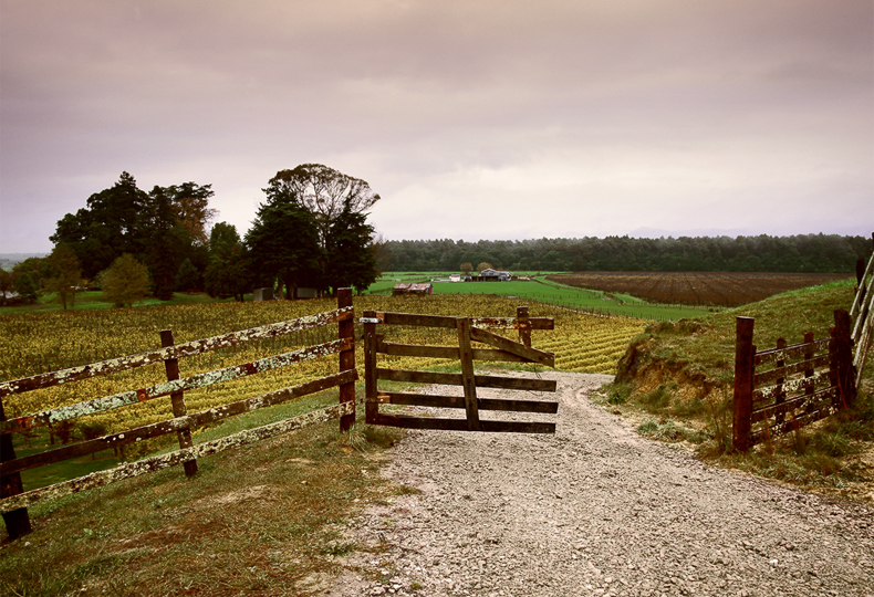 Halfmile Creek