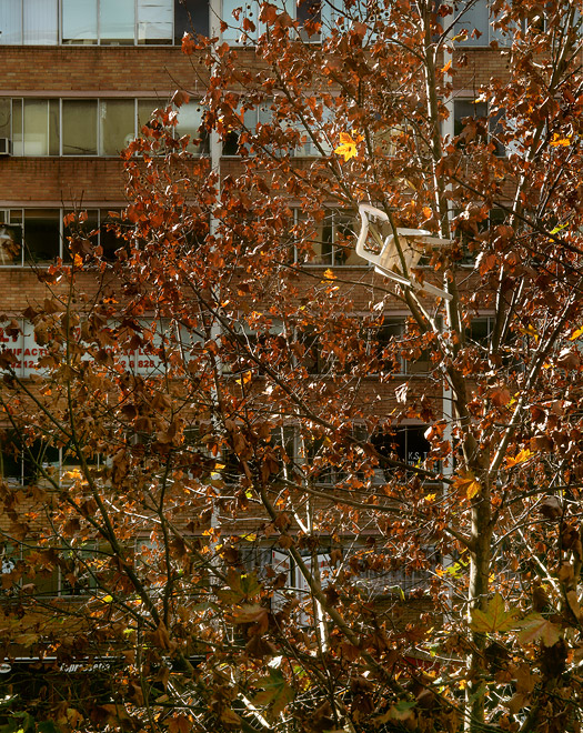 Chair in Tree